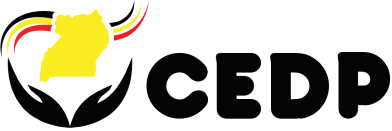AccessIt: CEDP
